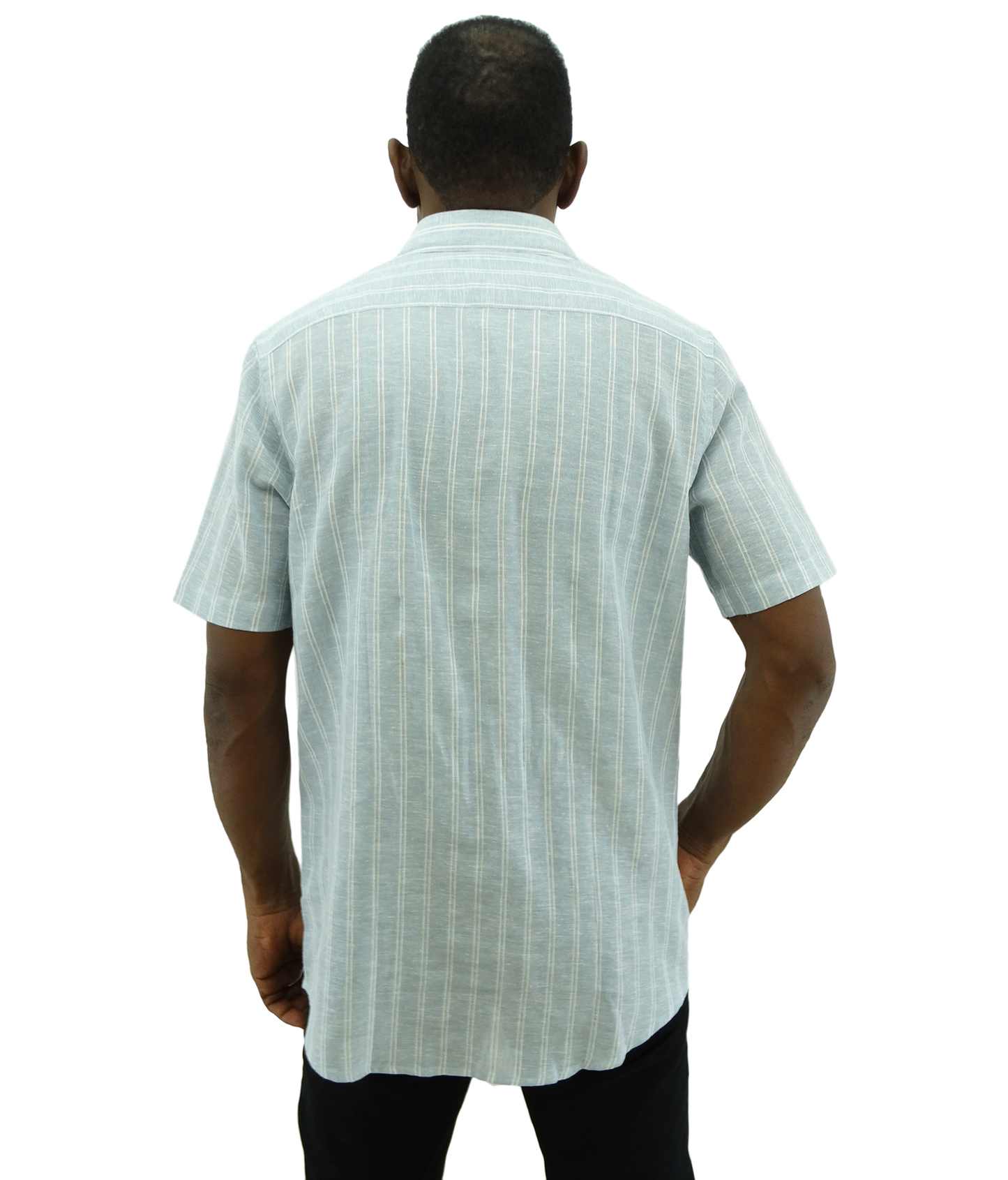 RMS31205, Regatta - Men's Classic Fit Short Sleeve Sport Shirt - Sky (S-XL)