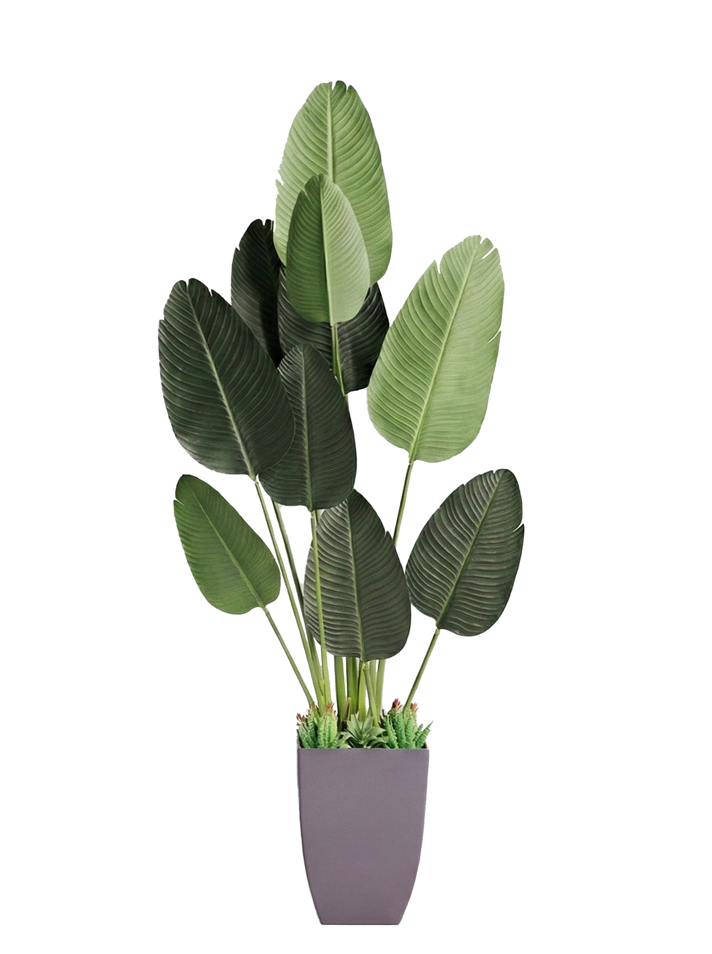YD29915, Artificial Bird Of Paradise Plant - 5 FT 7IN