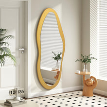 6110, Irregular Wall Mirror - 53cm x 94cm