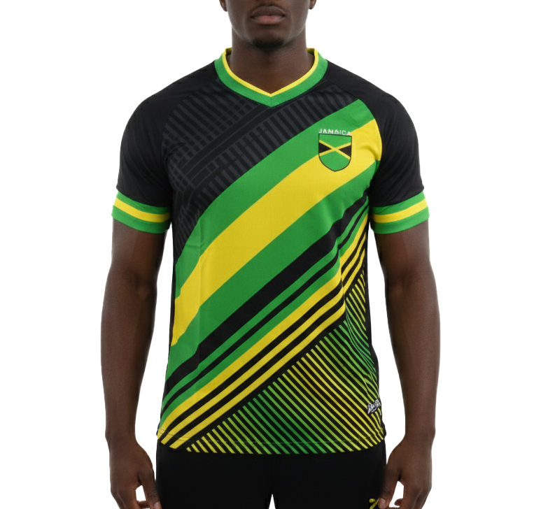 RWLJS02M, Men's Dry-fit V-Neck Jersey T-Shirt