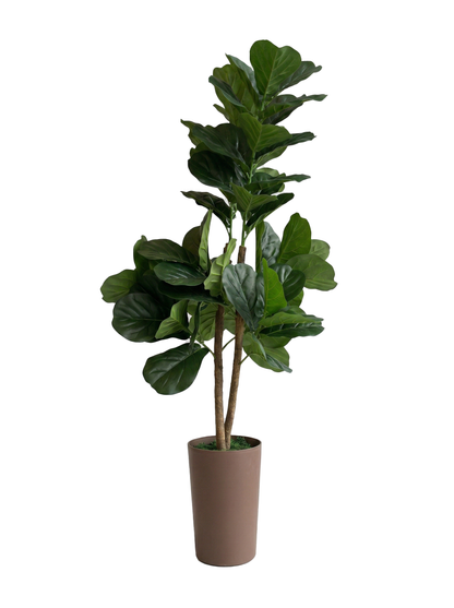 YD28096, Artificial Fiddle Fig Tree