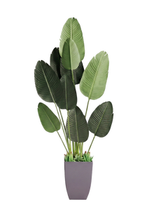 YD29915, Artificial Bird Of Paradise Plant - 5 FT 7IN
