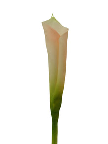 B326714, Bao Artificial Calla Lilly - 25"