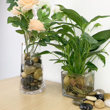 5502-5123, Decorative Filler Stones